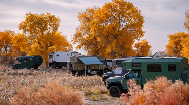 Golden Autumn Tour in Southern Xinjiang | A Time-Traveling Appointment with Populus euphratica